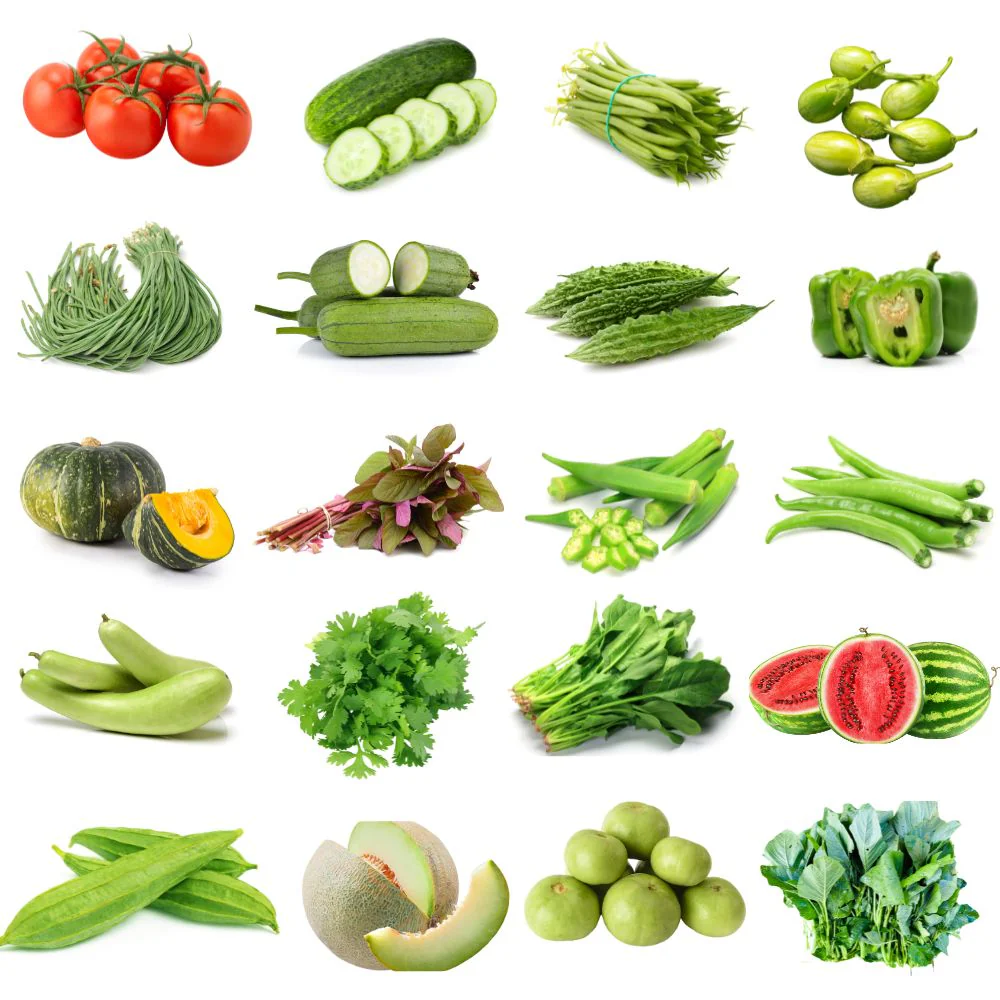 Vegetable (30 kg)